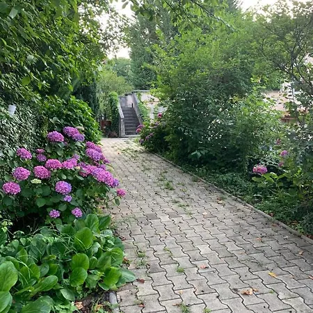 Rokia - Au Fil De L*eau * Royat